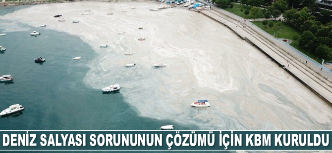 Deniz salyası sorununun çözümü için KBM kuruldu