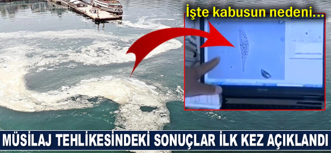 Müsilaj felaketinin ilk örneklerinin sonuçları ortaya çıktı