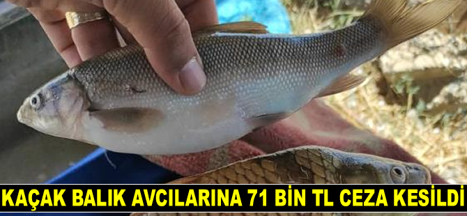 Kaçak balık avcılarına 71 bin TL ceza kesildi