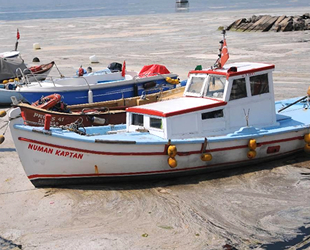 Deniz salyası, balık avına engel oluyor