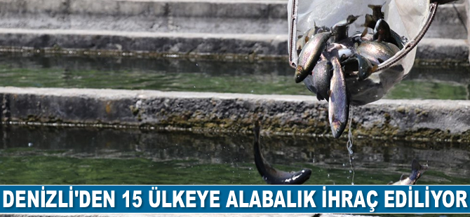 Denizli’de üretilen balıklar 15 ülkeye ihraç ediliyor