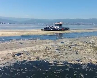İzmit Körfezi’nde deniz salyası ile mücadele devam ediyor