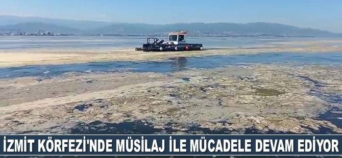 İzmit Körfezi’nde deniz salyası ile mücadele devam ediyor