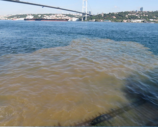 İstanbul Boğazı'nda denizin rengi değişti