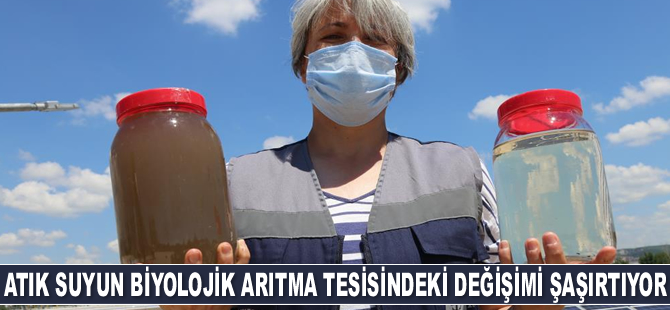 Kocaeli’deki arıtma tesisleri İzmit Körfezi’nin kirlenmesini önlüyor