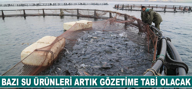 Bazı su ürünleri gözetime tabi olacak