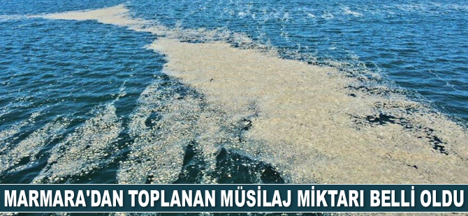 Marmara Denizi'nden toplanan müsilaj miktarı belli oldu