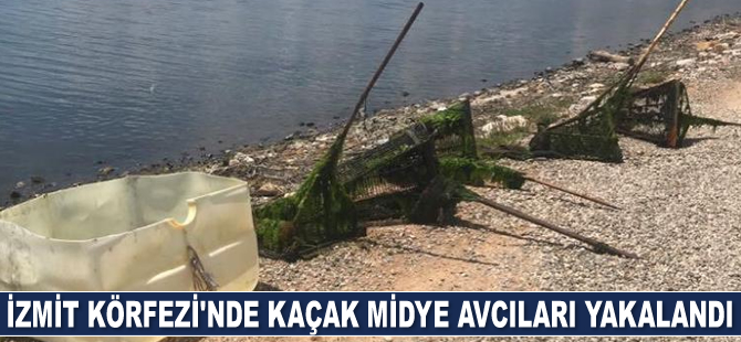 İzmit Körfezi'nde kaçak midye avcıları yakalandı
