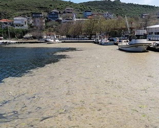 Ergene Nehri'nin yükü felaketi artırabilir