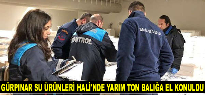 Gürpınar Su Ürünleri Hali’nde yarım ton balığa el konuldu