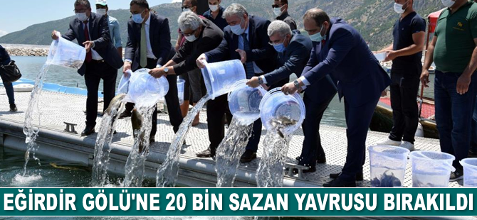 Eğirdir Gölü’ne 20 bin sazan yavrusu bırakıldı