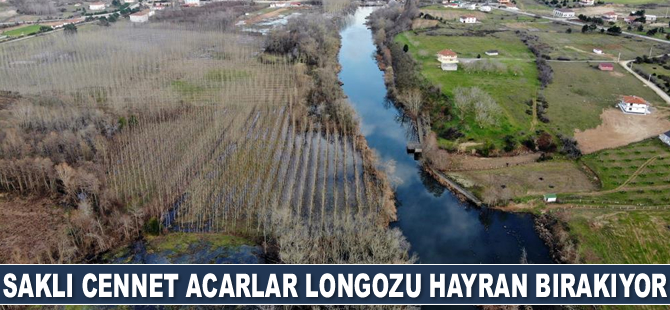 Saklı cennet Acarlar Longozu hayran bırakıyor