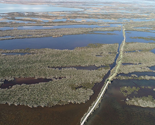 Kızılırmak Deltası’nda 26 istilacı tür keşfedildi