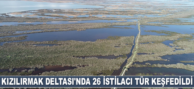Kızılırmak Deltası’nda 26 istilacı tür keşfedildi