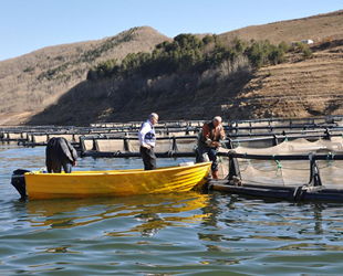 Erzurum’da balık üretiminin 7 bin tona çıkarılması planlanıyor