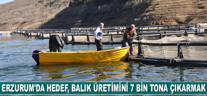 Erzurum’da balık üretiminin 7 bin tona çıkarılması planlanıyor