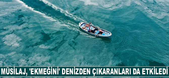 Müsilaj, 'ekmeğini' denizden çıkaranları da olumsuz etkiledi