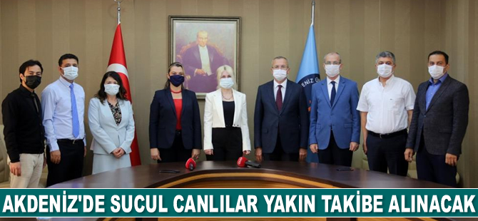 Akdeniz’de sucul canlılar yakın takibe alınacak
