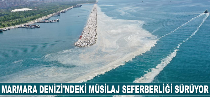 Marmara Denizi'ndeki müsilaj seferberliği sürüyor