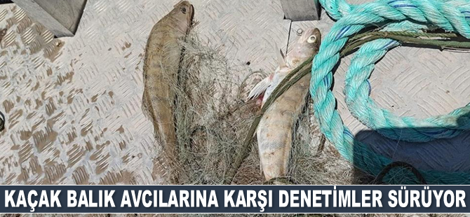 Kaçak balık avcılarına karşı denetimler sürüyor