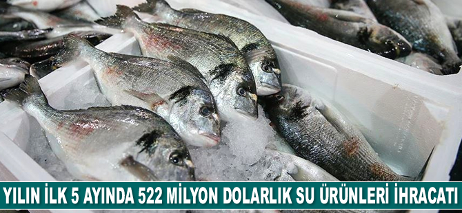 2021'in ilk 5 ayında 522 milyon dolarlık su ürünleri ihracatı gerçekleştirildi