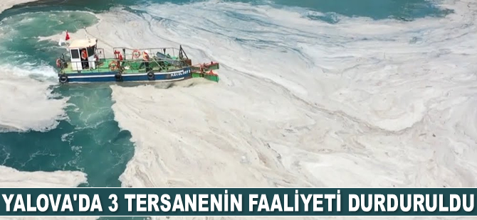 Yalova’da 3 tersanenin faaliyeti durduruldu