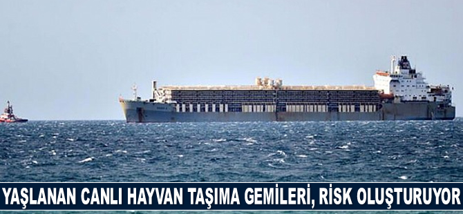 Yaşlanan canlı hayvan taşıma gemileri, risk oluşturuyor