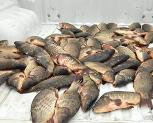 Kaçak avcılık yapan kişilere 19 bin lira para cezası kesildi