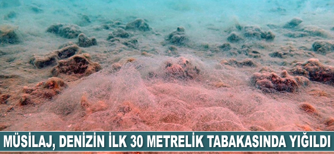 Müsilaj, denizin ilk 30 metrelik tabakasında yığıldı