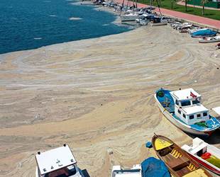 Müsilaja karşı Marmara'ya 'nefes' takviyesi yapılacak