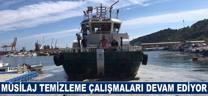 Marmara'da müsilaj temizleme çalışmaları devam ediyor