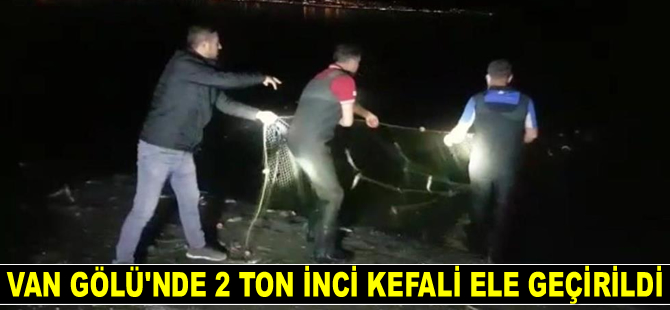 Van Gölü'nde kaçak avlanmış 2 ton inci kefali ele geçirildi