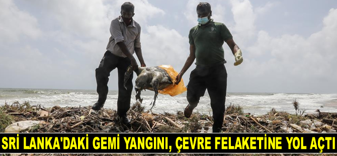 Sri Lanka'daki gemi yangını, çevre felaketine yol açtı