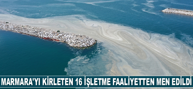 Marmara’yı kirleten 16 işletme faaliyetten men edildi