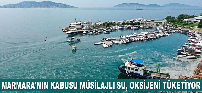 Marmara'nın kabusu müsilajlı su, oksijeni tüketiyor
