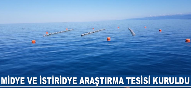 Midye ve İstiridye Araştırma Tesisi çalışmaları tamamlandı