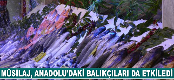 Marmara’daki müsilaj, Anadolu'daki balıkçıları da etkiledi