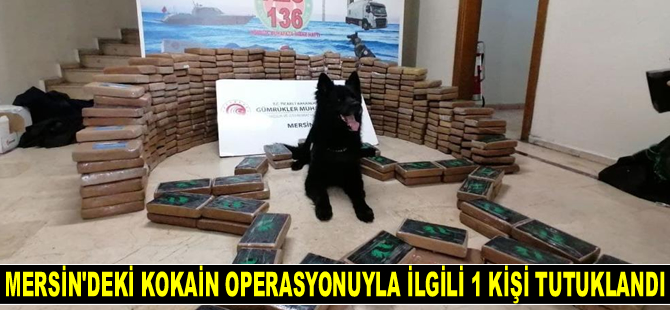 Mersin'deki kokain operasyonuyla ilgili 1 kişi tutuklandı