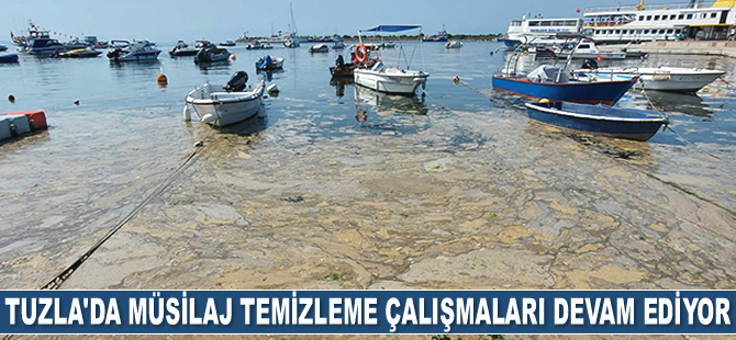 Tuzla’da müsilaj temizleme çalışmaları devam ediyor