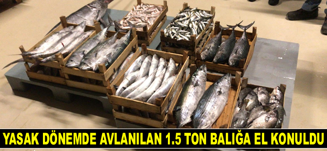 Yasak dönemde avlanılan 1.5 ton balığa el konuldu