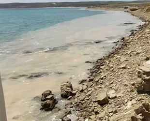 Yunanistan, Ege'de görülen deniz salyası için harekete geçti