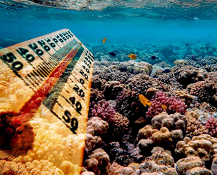 Akdeniz'deki deniz suyu yüzde 20 daha hızlı ısınıyor