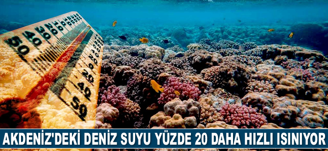 Akdeniz'deki deniz suyu yüzde 20 daha hızlı ısınıyor