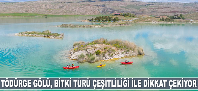 Tödürge Gölü, bitki türü çeşitliliği ile hayranlık uyandırıyor