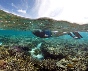 BM, Büyük Set Resifi’nin Dünya Mirası Listesi’ne alınması için çağrı yaptı
