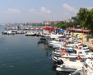 Tekirdağlı balıkçılar, müsilaj nedeniyle denize ağ atamıyor