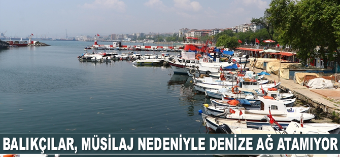 Tekirdağlı balıkçılar, müsilaj nedeniyle denize ağ atamıyor