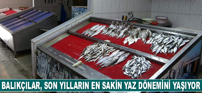 Balıkçılar, son yılların en sakin yaz dönemini yaşıyor