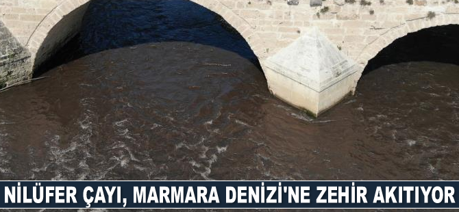 Nilüfer Çayı, Marmara Denizi'ne zehir akıtıyor