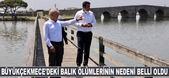 Büyükçekmece Gölü'ndeki balık ölümlerinin nedeni belli oldu